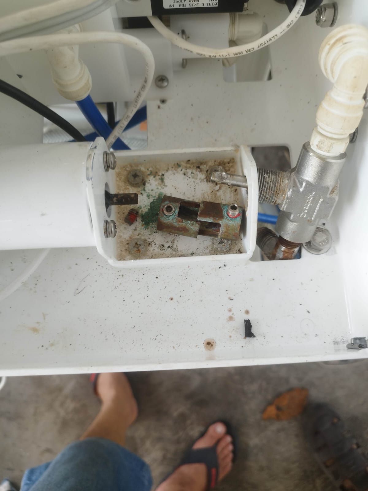 Imagen de la diapositiva