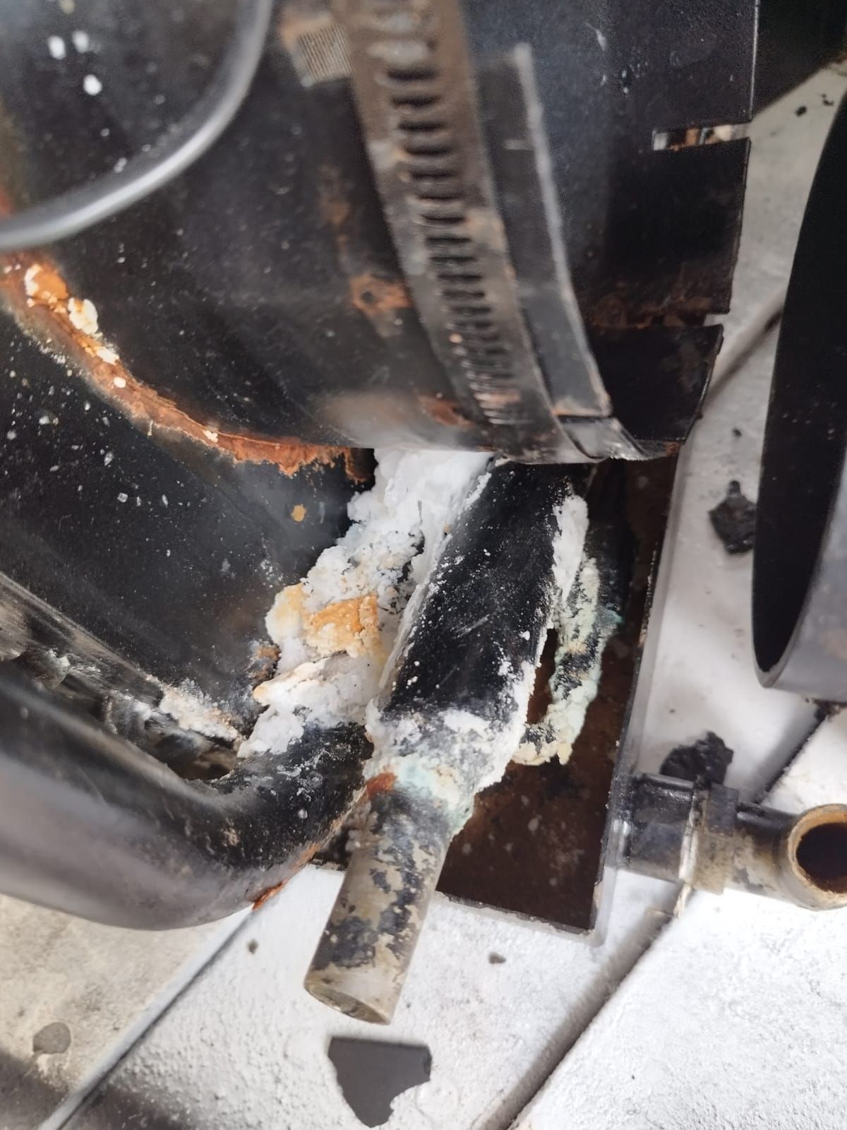 Imagen de la diapositiva